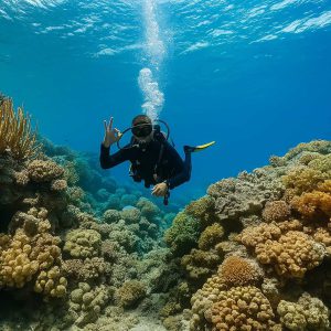 Boracay Dive Safari Adventure