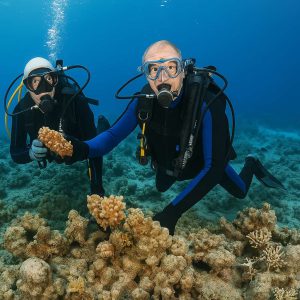 Boracay 2-Day FunDive Package