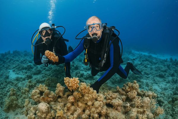 Boracay 2-Day FunDive Package