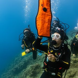 PADI DSMB Diver Course Philippines