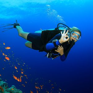Discover Scuba Diving Philippines