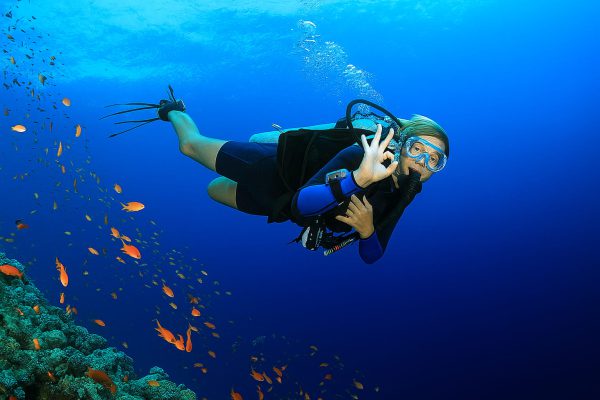 Discover Scuba Diving Philippines