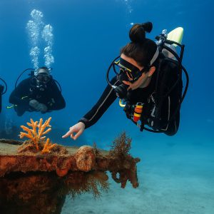 PADI Divemaster Course Philippines