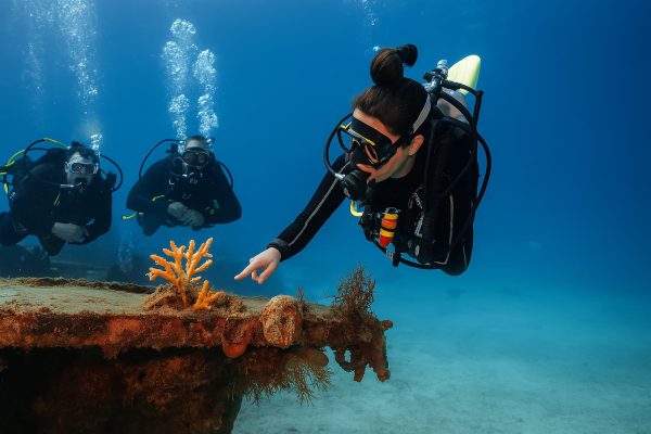PADI Divemaster Course Philippines