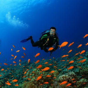 PADI Scuba Diver Course Philippines